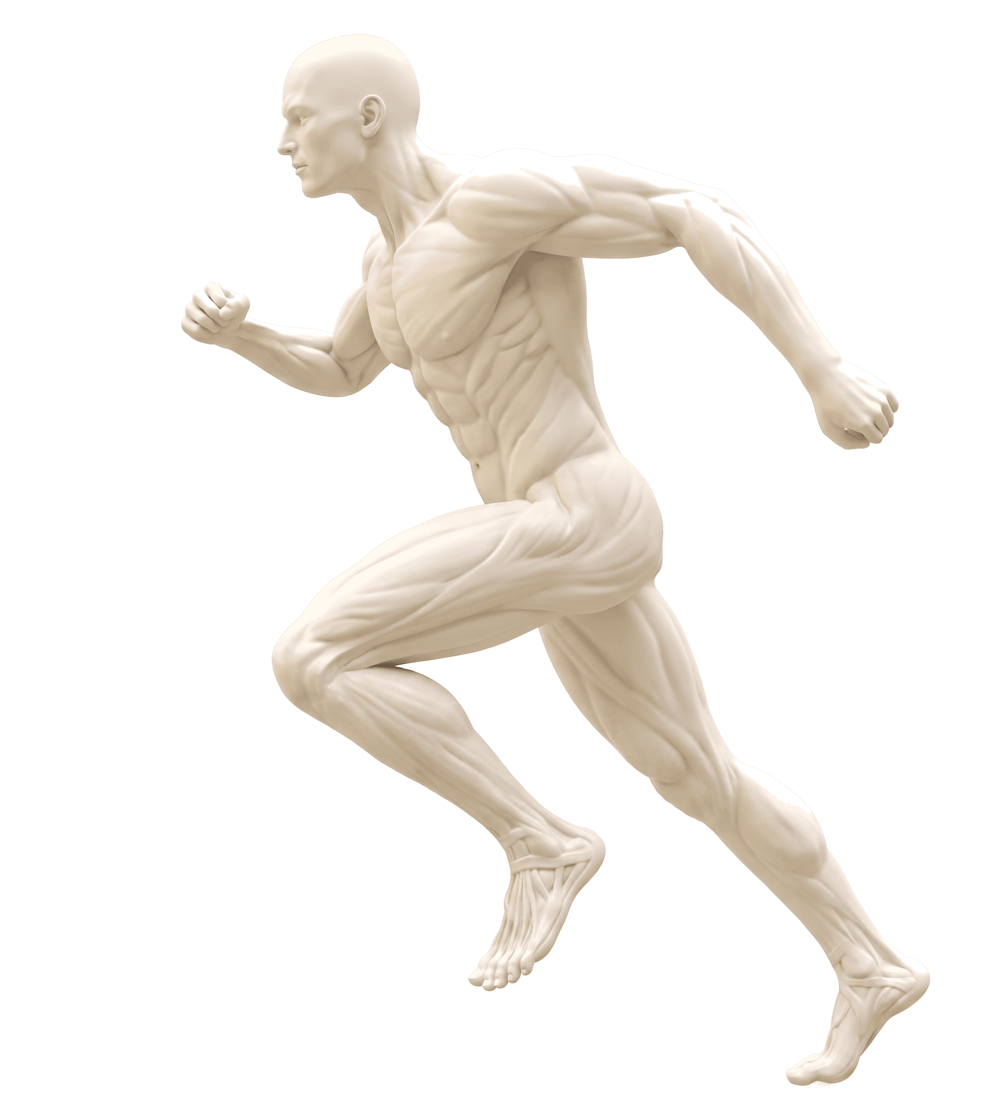 Illustration of a body marking the common areas of pain in treatment